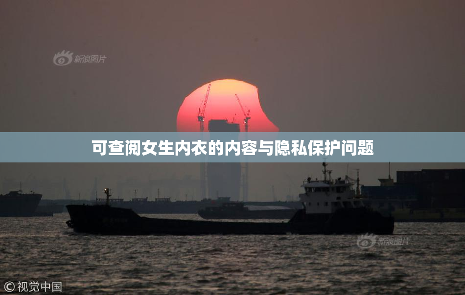 可查阅女生内衣的内容与隐私保护问题