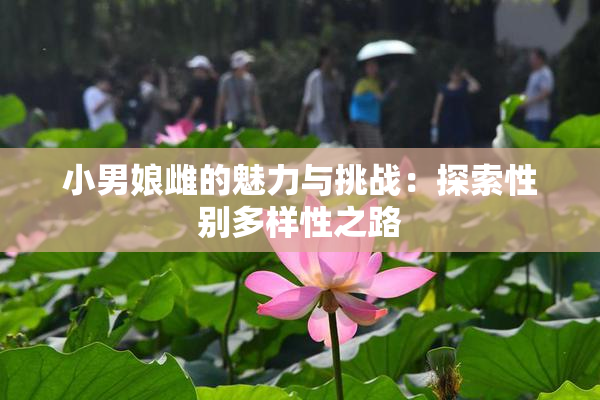 小男娘雌的魅力与挑战：探索性别多样性之路