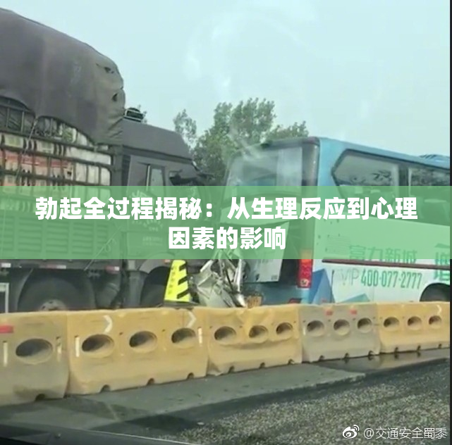 勃起全过程揭秘：从生理反应到心理因素的影响
