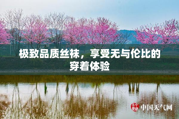 极致品质丝袜，享受无与伦比的穿着体验