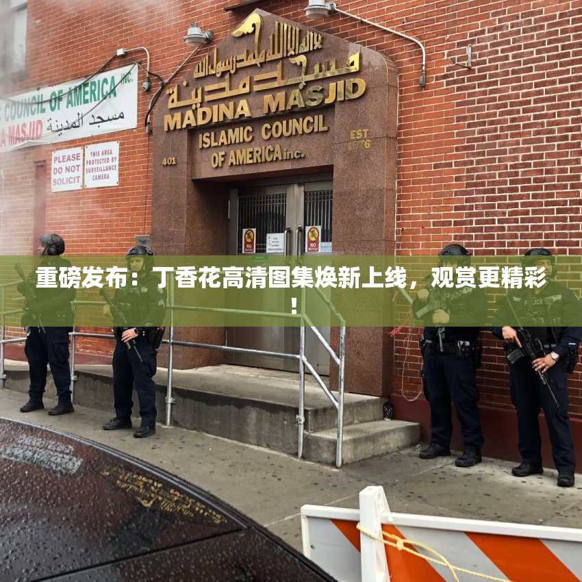 重磅发布：丁香花高清图集焕新上线，观赏更精彩！