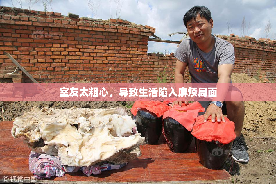 室友太粗心，导致生活陷入麻烦局面