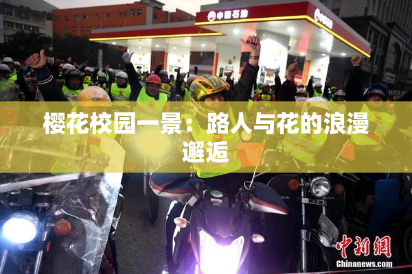 樱花校园一景：路人与花的浪漫邂逅