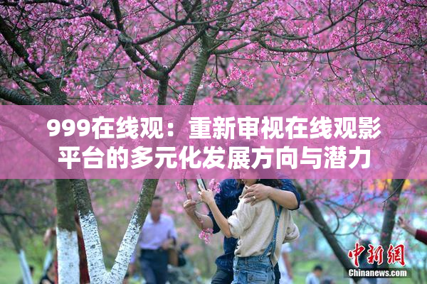 999在线观：重新审视在线观影平台的多元化发展方向与潜力