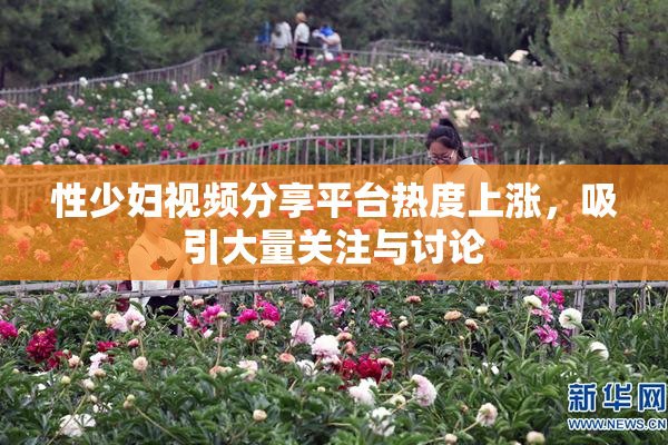 性少妇视频分享平台热度上涨，吸引大量关注与讨论