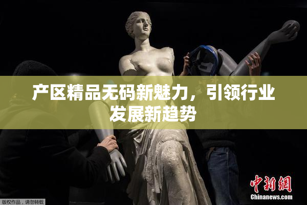 产区精品无码新魅力，引领行业发展新趋势