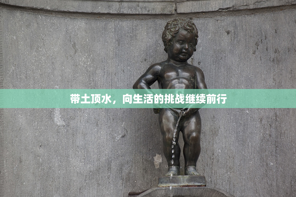 带土顶水，向生活的挑战继续前行
