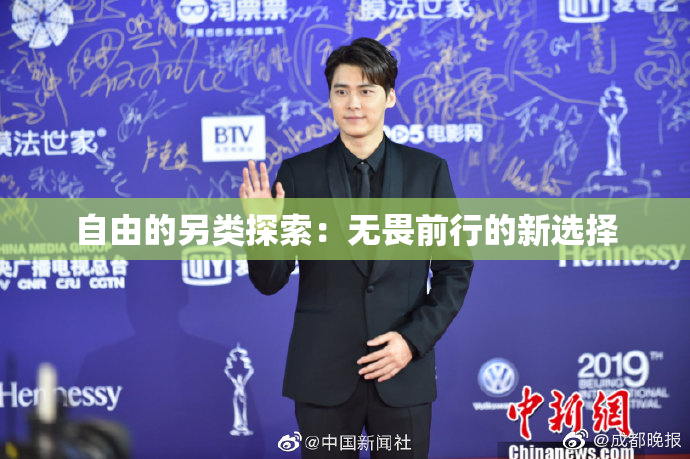 自由的另类探索：无畏前行的新选择