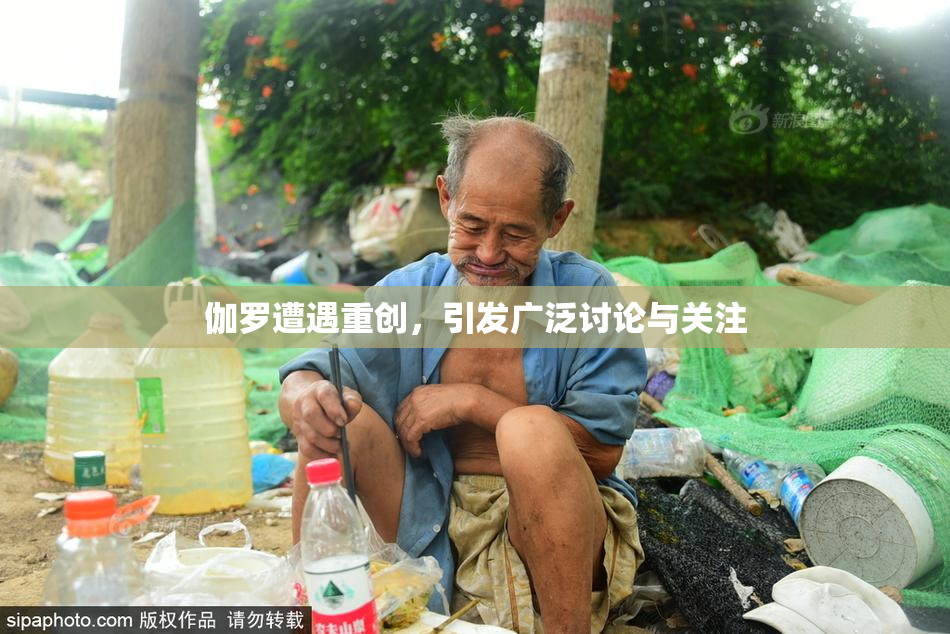 伽罗遭遇重创，引发广泛讨论与关注