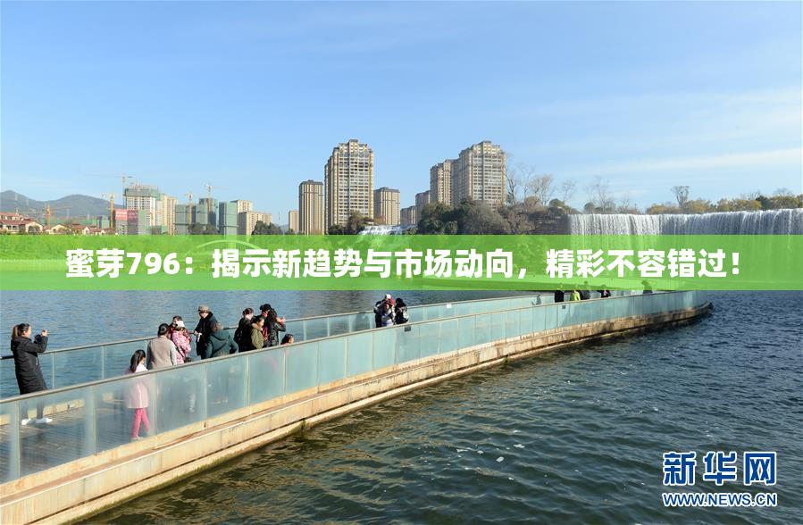 蜜芽796：揭示新趋势与市场动向，精彩不容错过！
