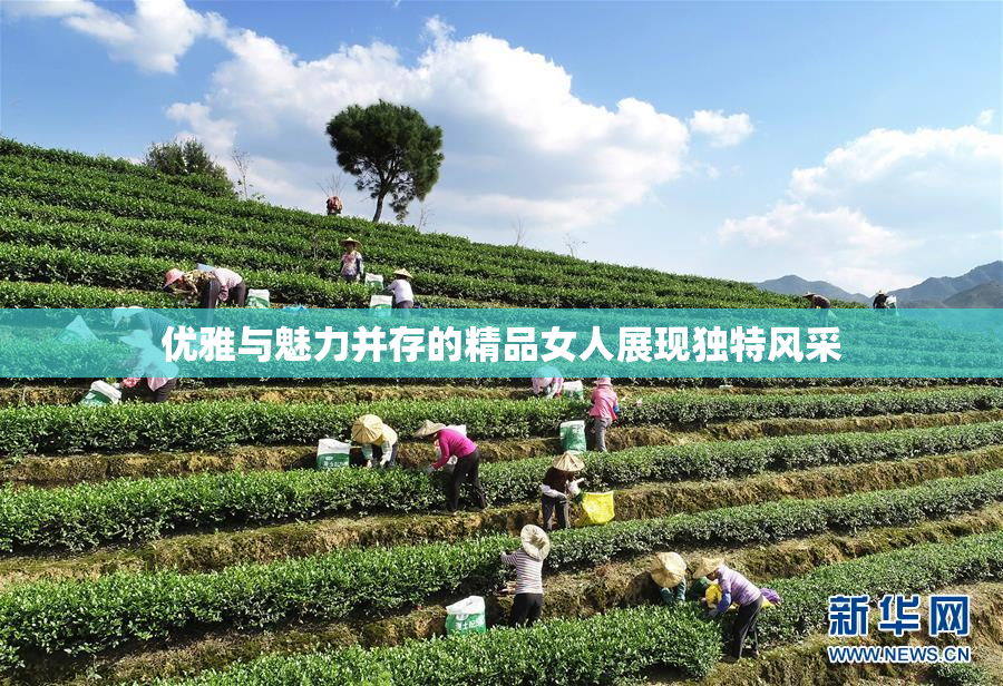 优雅与魅力并存的精品女人展现独特风采