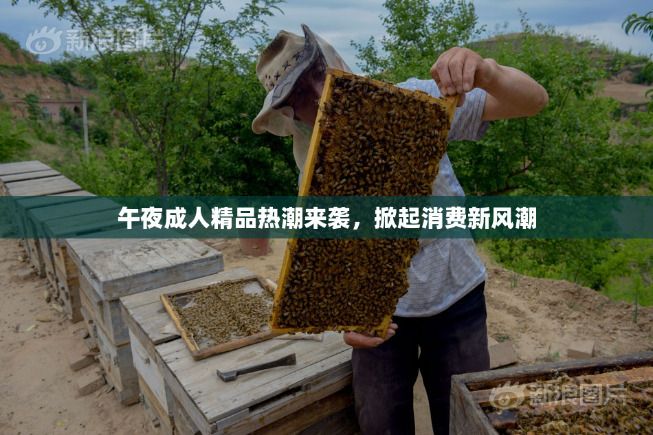 午夜成人精品热潮来袭，掀起消费新风潮