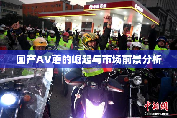 国产AV蘑的崛起与市场前景分析