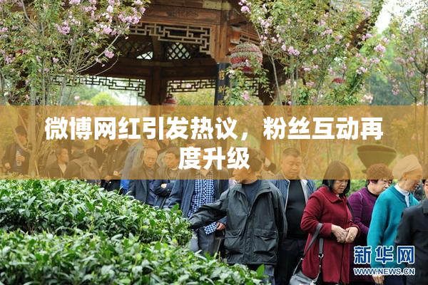微博网红引发热议，粉丝互动再度升级