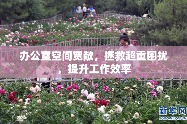 办公室空间宽敞，拯救超重困扰，提升工作效率