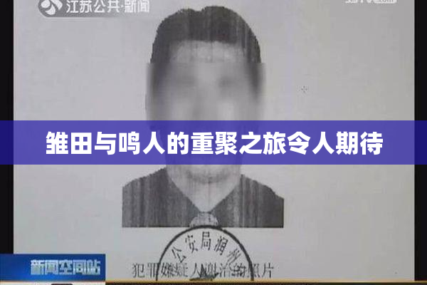 雏田与鸣人的重聚之旅令人期待