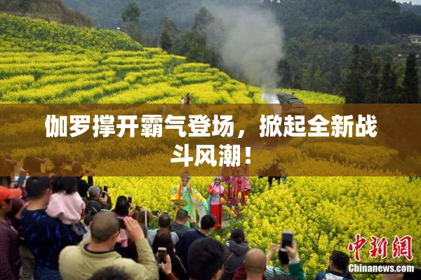 伽罗撑开霸气登场，掀起全新战斗风潮！