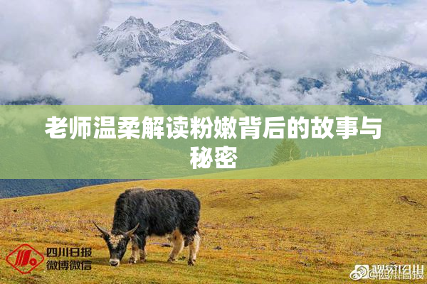 老师温柔解读粉嫩背后的故事与秘密