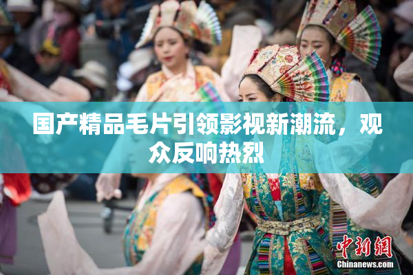 国产精品毛片引领影视新潮流，观众反响热烈