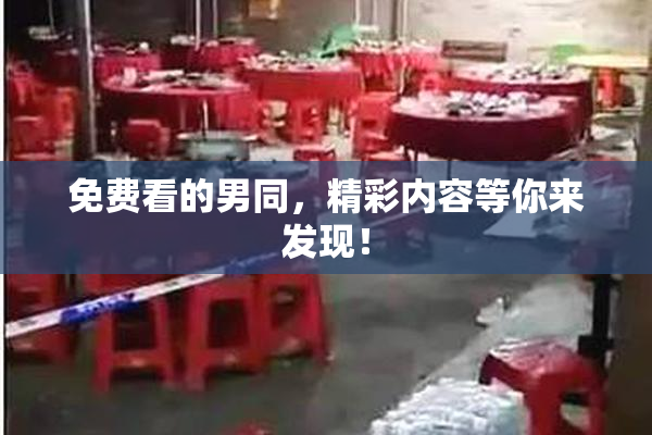 免费看的男同，精彩内容等你来发现！