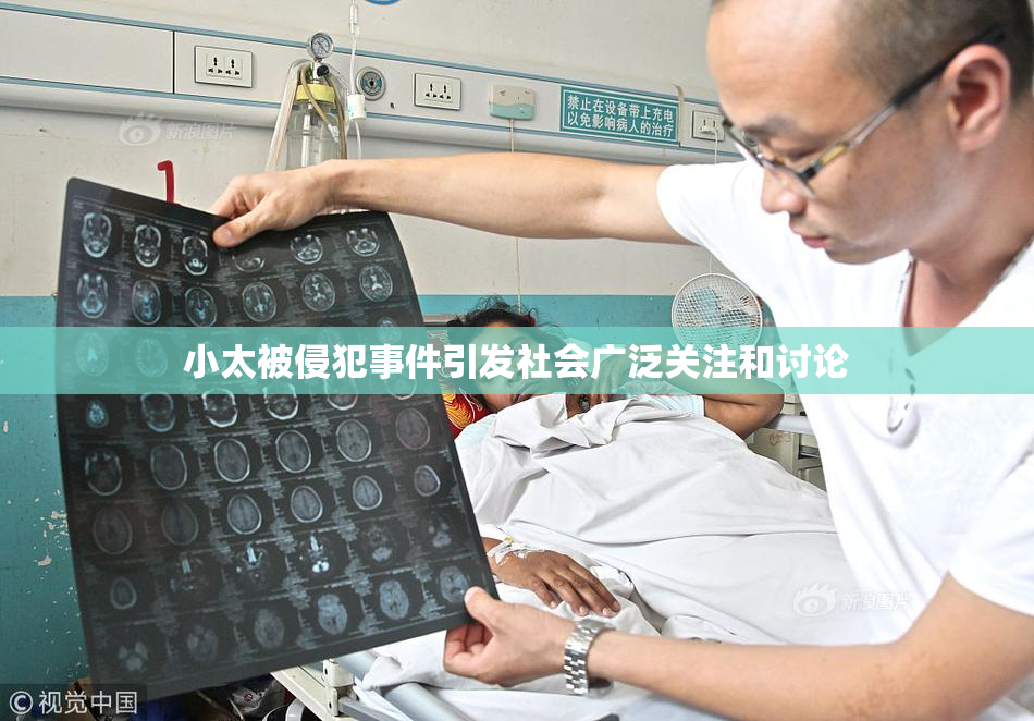 小太被侵犯事件引发社会广泛关注和讨论