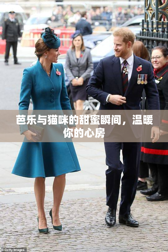 芭乐与猫咪的甜蜜瞬间，温暖你的心房
