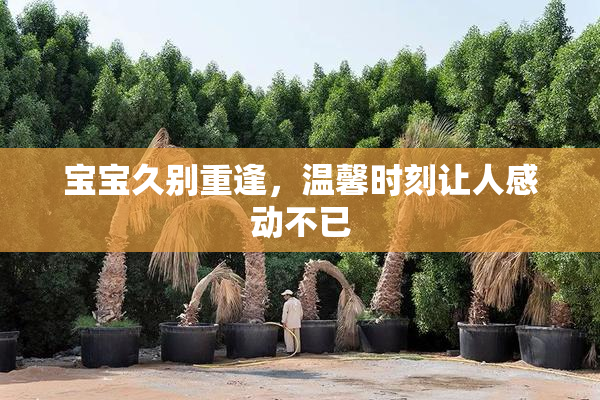 宝宝久别重逢，温馨时刻让人感动不已