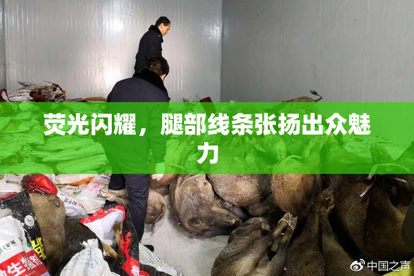 荧光闪耀，腿部线条张扬出众魅力