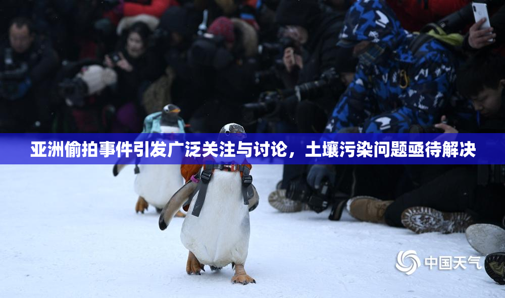 亚洲偷拍事件引发广泛关注与讨论，土壤污染问题亟待解决