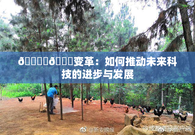 🔞‌🍌变革：如何推动未来科技的进步与发展