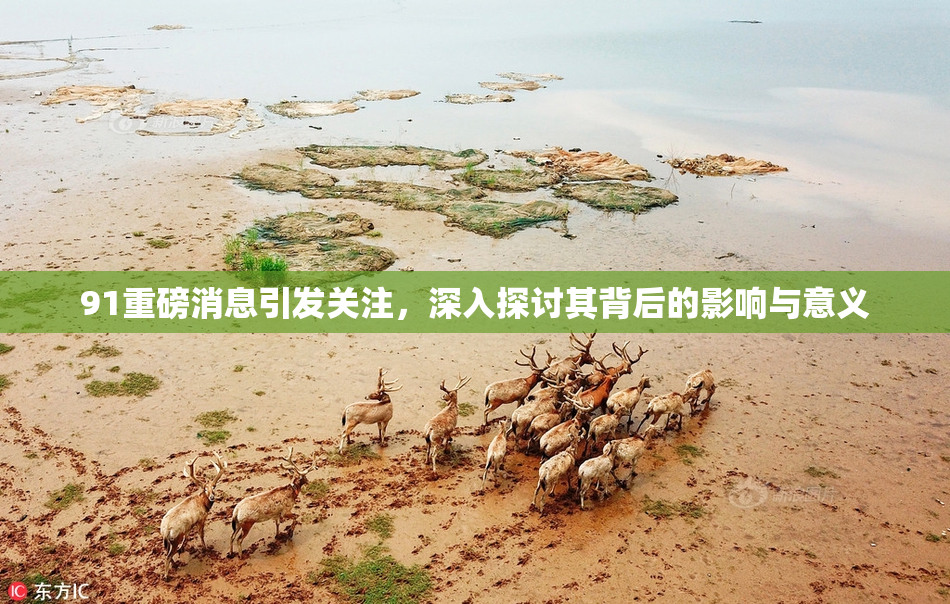 91重磅消息引发关注，深入探讨其背后的影响与意义