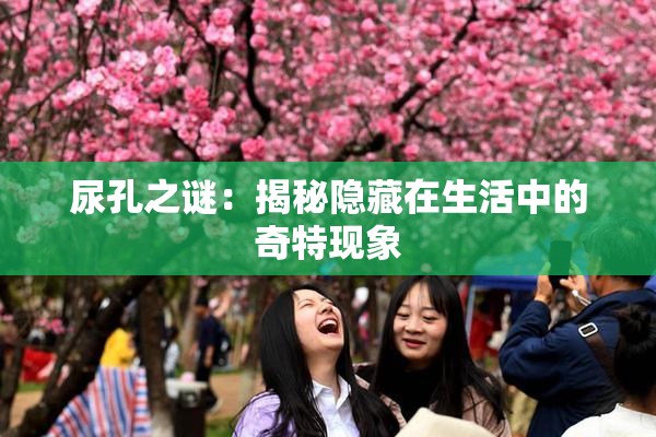 尿孔之谜：揭秘隐藏在生活中的奇特现象