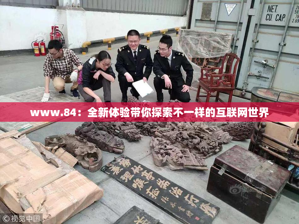 www.84：全新体验带你探索不一样的互联网世界