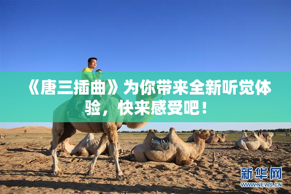 《唐三插曲》为你带来全新听觉体验，快来感受吧！