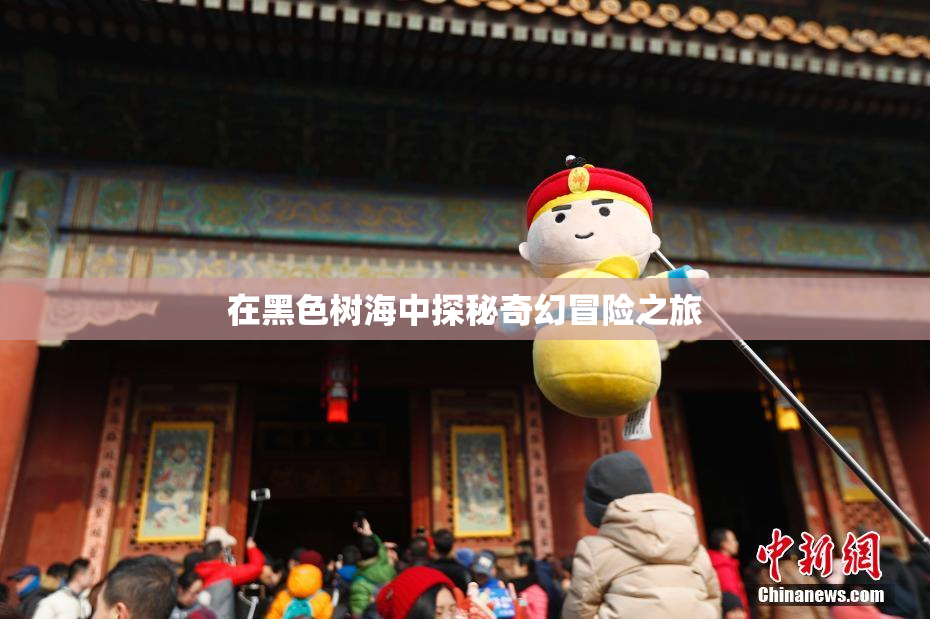 在黑色树海中探秘奇幻冒险之旅