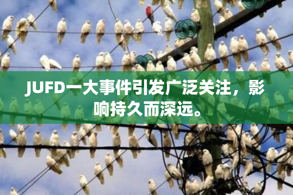 JUFD一大事件引发广泛关注，影响持久而深远。