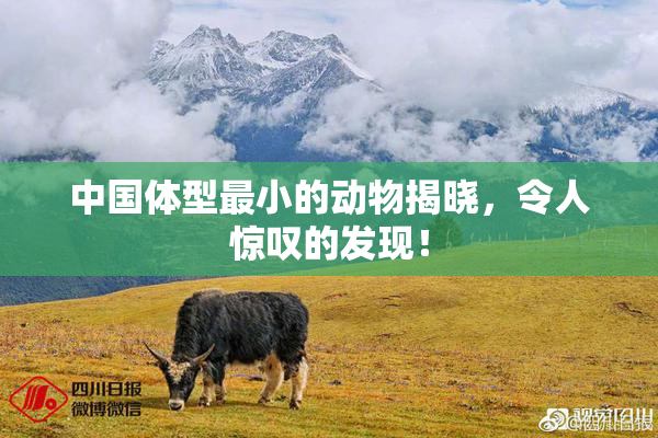 中国体型最小的动物揭晓，令人惊叹的发现！