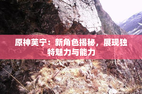 原神芙宁：新角色揭秘，展现独特魅力与能力