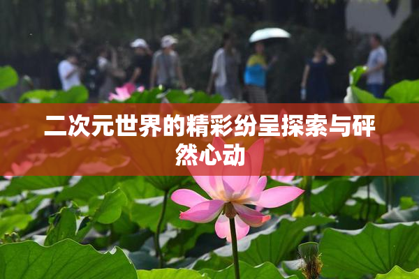 二次元世界的精彩纷呈探索与砰然心动