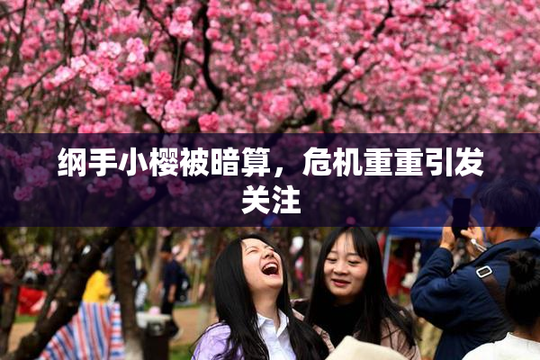 纲手小樱被暗算，危机重重引发关注