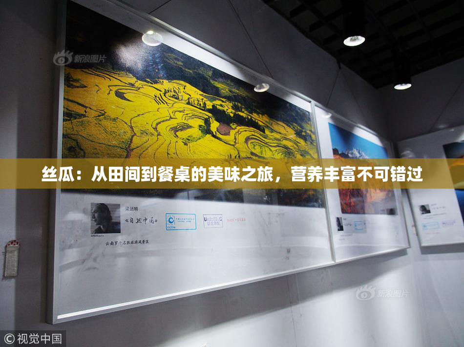 丝瓜：从田间到餐桌的美味之旅，营养丰富不可错过
