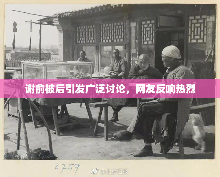 谢俞被后引发广泛讨论，网友反响热烈