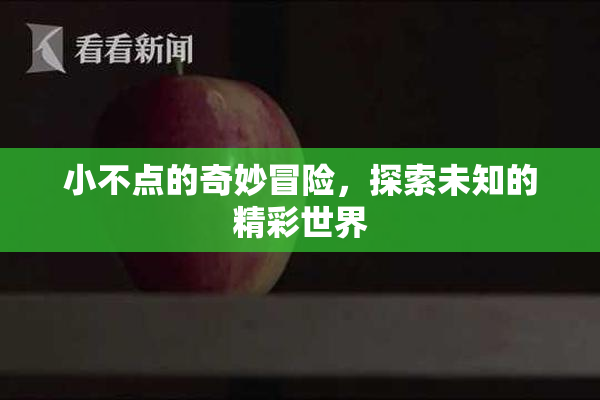 小不点的奇妙冒险，探索未知的精彩世界