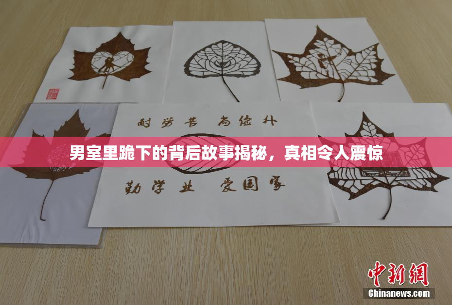 男室里跪下的背后故事揭秘，真相令人震惊