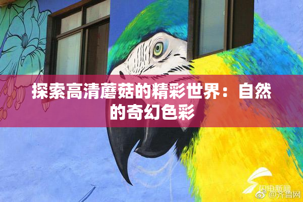 探索高清蘑菇的精彩世界：自然的奇幻色彩