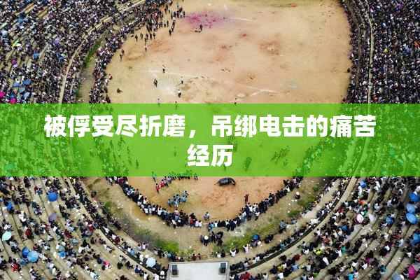 被俘受尽折磨，吊绑电击的痛苦经历