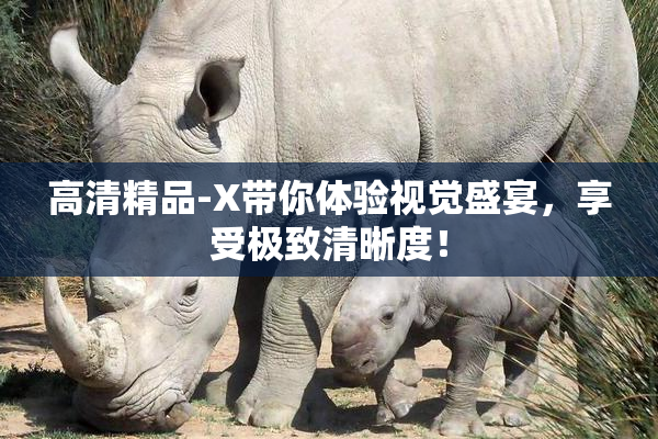 高清精品-X带你体验视觉盛宴，享受极致清晰度！