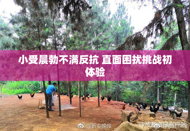 小受晨勃不满反抗 直面困扰挑战初体验