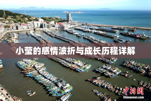 小莹的感情波折与成长历程详解