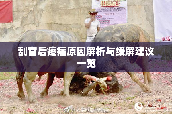 刮宫后疼痛原因解析与缓解建议一览